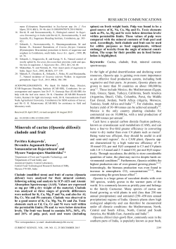 Minerals of cactus (Opuntia dillenii): cladode and