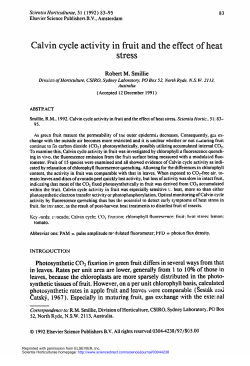 Calvin cycle activity in fruit and the effect of heat stress