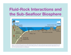 Fluid-Rock Interactions and the Sub