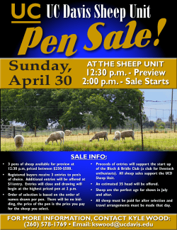 Shep Pen Sale - UC Davis Department of Animal Science
