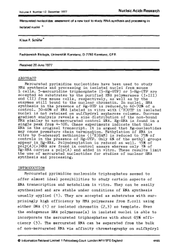 Mercurated pyrimidine nucleotides have been used to study RNA