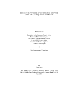 DESIGN AND SYNTHESIS OF CONSTRAINED DIPEPTIDE UNITS
