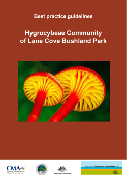Hygrocybeae Community of Lane Cove Bushland Park