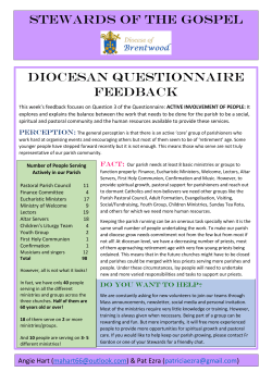 stewards of the gospel diocesan questionnaire feedback