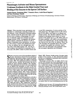 Plasminogen Activator and Mouse Spermatozoa