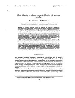 Effects of bentbos on sediment transport: difficulties with functional