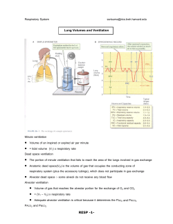 Lung Volumes and Ventilation