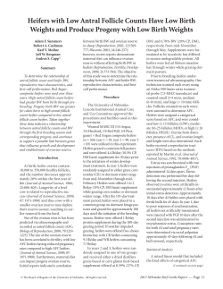 Heifers with Low Antral Follicle Counts Have Low Birth