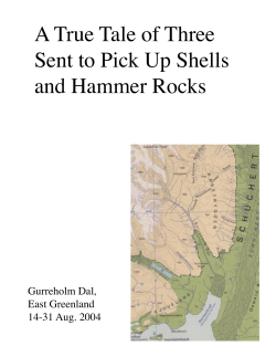 A True Tale of Three Sent to Pick Up Shells and Hammer Rocks
