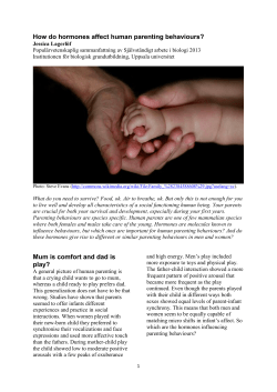 How do hormones affect human parenting behaviours?