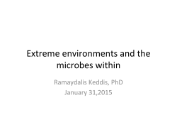 Open house presentation.pptx