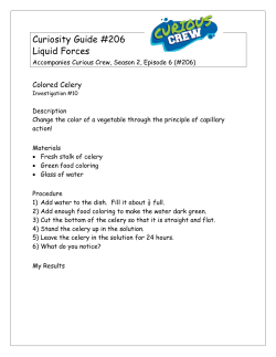 Curiosity Guide #206 Liquid Forces