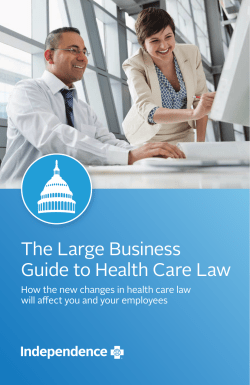 Large Business Guide