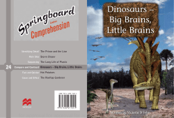 Dinosaurs &ndash; Big Brains, Little Brains