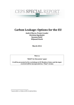 Carbon Leakage: Options for the EU