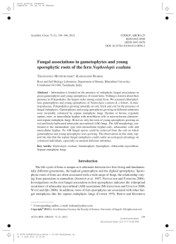 Fungal associations in gametophytes and young sporophytic roots