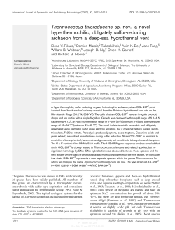 Thermococcus thioreducens sp. nov., a novel hyperthermophilic