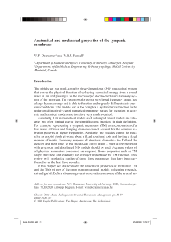 Anatomical and mechanical properties of the tympanic membrane