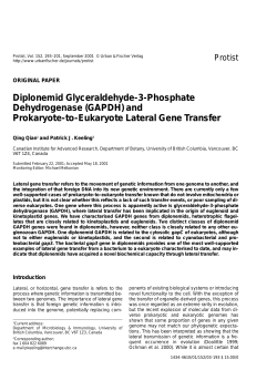 Diplonemid Glyceraldehyde-3-Phosphate