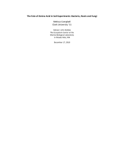 The Fate of Amino Acid in Soil Experiments