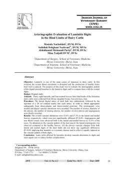Arteriographic Evaluation of Laminitis Digits in the Hind Limbs of