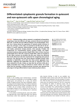 Instructions for the preparation of a camera-ready