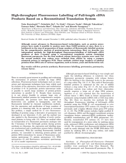 High-throughput Fluorescence Labelling of Full