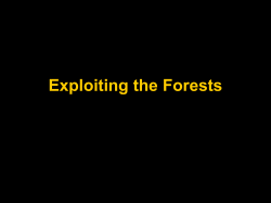 Exploiting the Forests