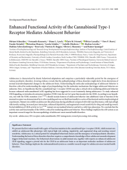 Enhanced Functional Activity of the Cannabinoid Type