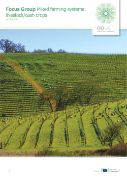 Focus Group Mixed farming systems: livestock/cash crops