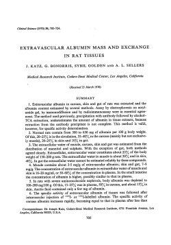 Extravascular Albumin Mass and Exchange in Rat