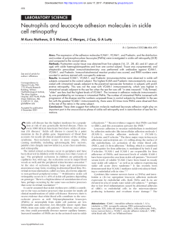 Neutrophils and leucocyte adhesion molecules in sickle cell