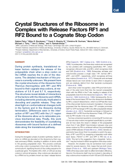 Crystal Structures of the Ribosome in Complex with Release Factors