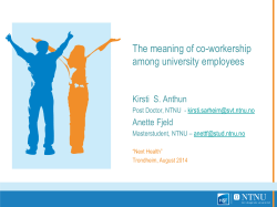 The meaning of co-workership among university employees