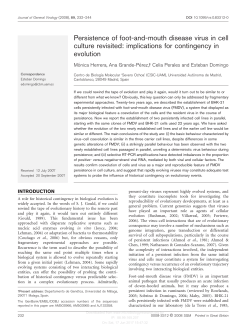 Persistence of foot-and-mouth disease virus in cell culture revisited