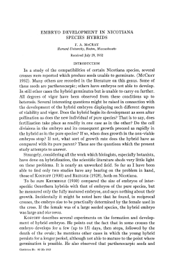 EMBRYO DEVELOPMENT IN NICOTIANA SPECIES