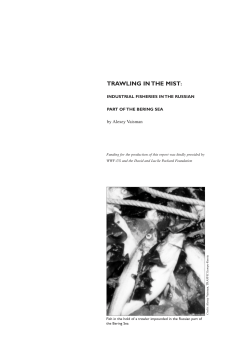 industrial fisheries in the Russian part of the Bering Sea