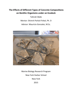 The Effects of Different Types of Concrete Compositions on Benthic
