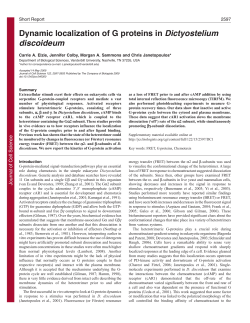 Dynamic localization of G proteins in Dictyostelium discoideum