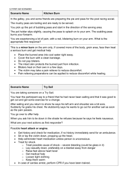 Scenario Name Kitchen Burn In the galley, you and some friends are