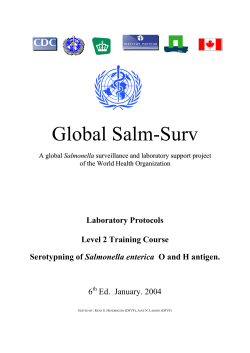 Salmonella - Serotyping - Antimicrobial Resistance