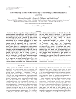 Heterothermy and the water economy of free