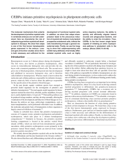 C/EBP initiates primitive myelopoiesis in pluripotent