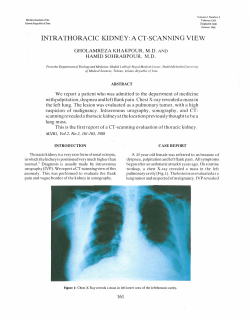 intrathoracic kidney: a ct-scanning view
