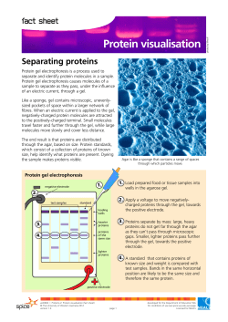 Protein visualisation