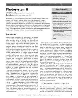 Photosystem II - Life Sciences