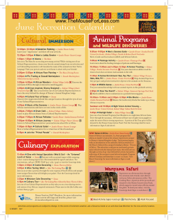 Animal Kingdom Lodge Activities Guide