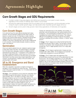 Corn Growth Stages and GDU Requirements