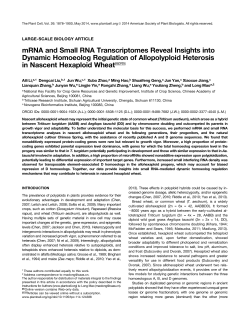 mRNA and Small RNA Transcriptomes Reveal