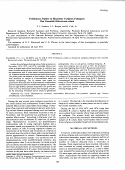 Preliminary Studies on Binucleate Turfgrass Pathogens That